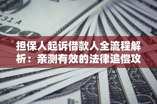 北京担保人起诉借款人全流程解析：亲测有效的法律追偿攻略