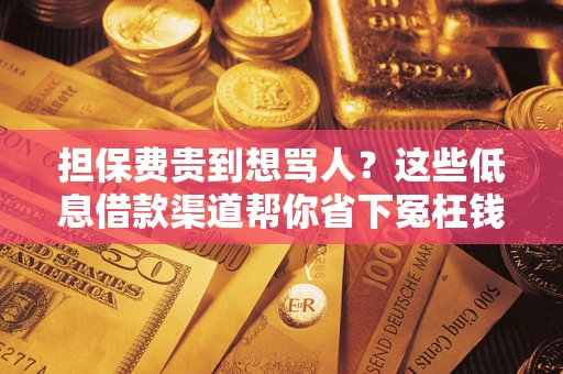 北京担保费贵到想骂人？这些低息借款渠道帮你省下冤枉钱